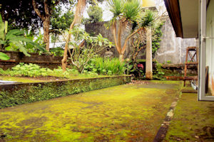 Gartenbereich vom Ferienhaus