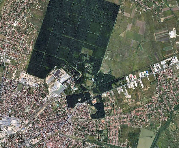 Timisoara Baugrundstck fr Wohnbau