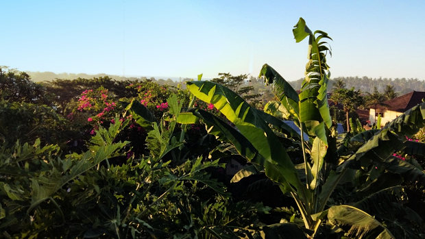 Ausblick vom Einfamilienhaus