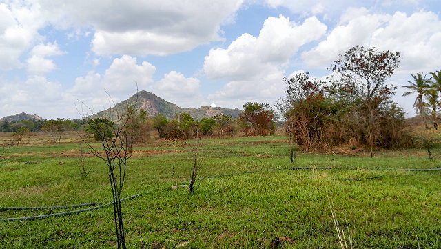 Baugrundstck in Mihintale Sri Lanka