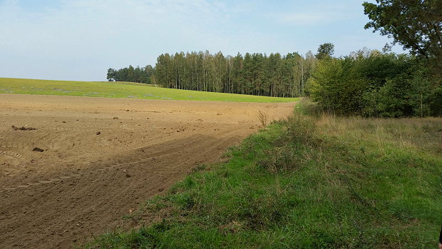 Waldgrundstück zum Seegrundstück in Polen Waldgrundstück zum Seegrundstück in Polen