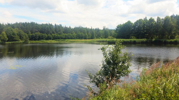 Grundstück mit See in Ermland-Masuren Grundstück mit See in Ermland-Masuren