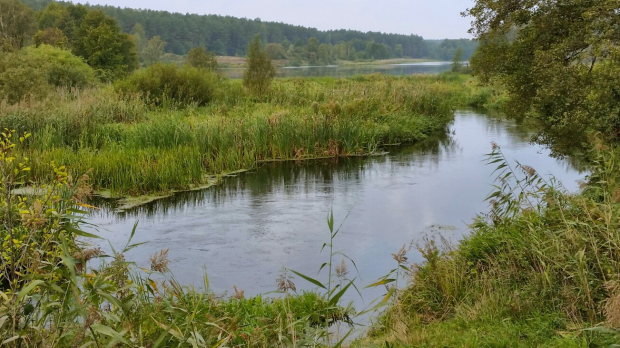 OErmland-Masuren Seegrundstück zum Kaufen OErmland-Masuren Seegrundstück zum Kaufen