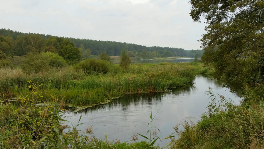 See zum Angel in Polen zum Kaufen See zum Angel in Polen zum Kaufen