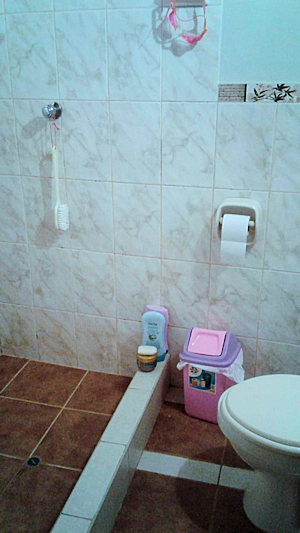 Duschbad Toilette vom Ferienhaus