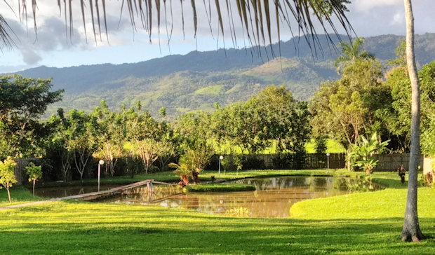 Teich vom Ferienhaus auf dem Grundst�ck