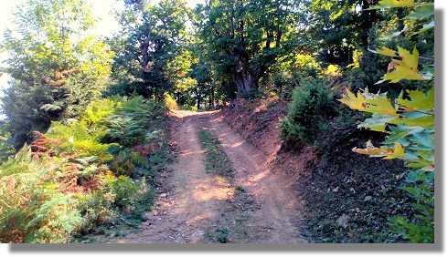 Panteleimonas Grundstck Dio-Olympos zum Kaufen