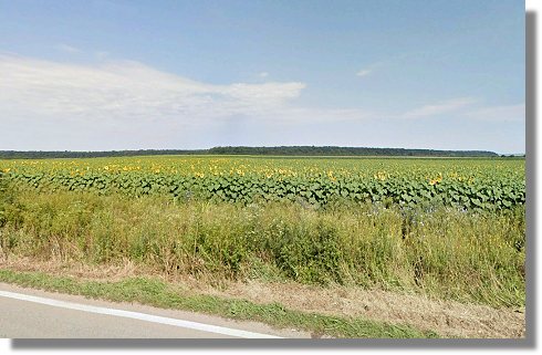 Ackerland Farmland Agrarland im Banat Timisoara Rumnien