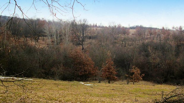 Farmland Agrarland im Kreis Cluj Siebenbürgen Rumänien zum Kaufen Farmland Agrarland im Kreis Cluj Siebenbürgen Rumänien zum Kaufen