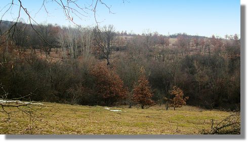 Farmland Agrarland im Kreis Cluj Siebenbrgen Rumnien zum Kaufen