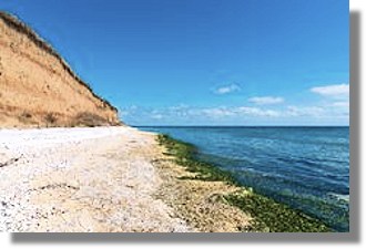 Grundstck in 23 August Constanta an der Schwarzmeerkste zum Kaufen
