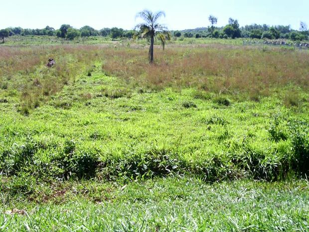 Gewerbegrundstck in Paraguay