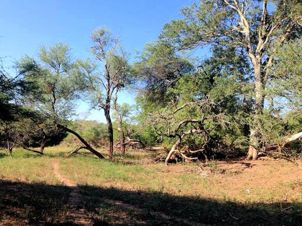 L�nderei bei Rivadavia Argentinien