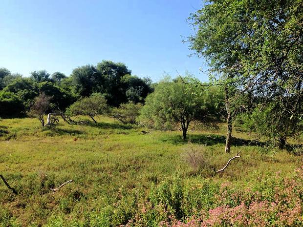 L�nderei der Provinz Salta in Argentinien zum Kaufen