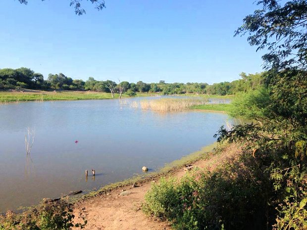 nat�rliches Wasserreservoir auf dem Land der Ranch bei Rivadavia