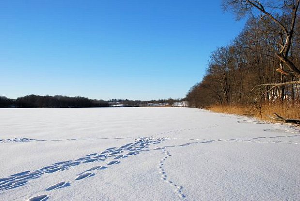 Seegrundstck im Winter