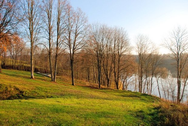 Ufer vom Grundstck am See