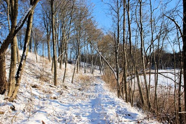 Winterlandschaft vom See in Litauen