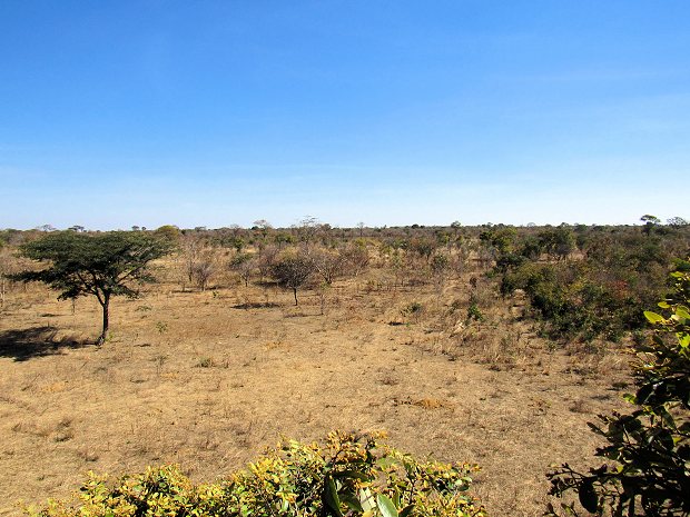 Grundst�ck Mukobeko Kabwe Sambia zum Kaufen