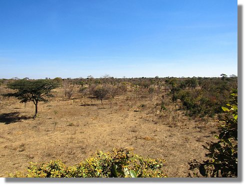 Farmland in Sambia zum Kaufen