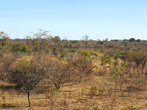 Grundst�ck in Makupu Sambia