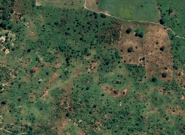 Grundst�ck Farmland in Sambia zum Kaufen