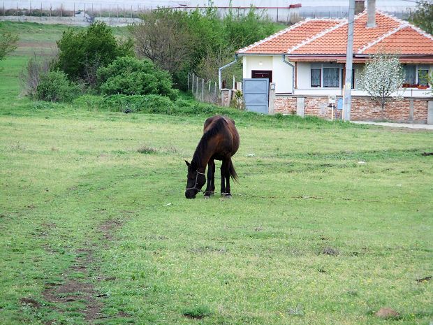 Bulgarien Baurundstck in Tankovo Nessebar zum Kaufen