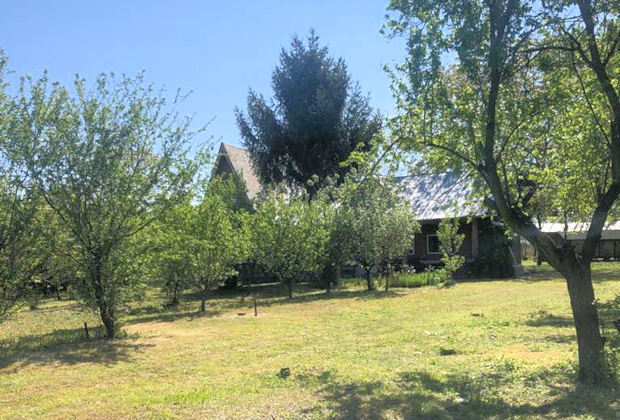 Gehöft Ausbauhaus mit Ackerland in Butimanu bei Targoviste und Bukarest Rumänien zum Kaufen Gehöft Ausbauhaus mit Ackerland in Butimanu bei Targoviste und Bukarest Rumänien zum Kaufen
