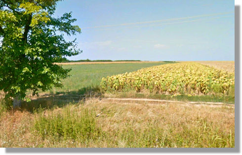 Agrarland Ackerland in Gepiu Bihor Rumnien zum Kaufen