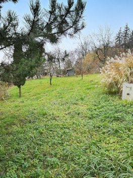 Baugrundstck in Hanglage von Trencin