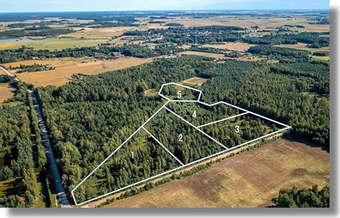 Grundstcke mit Wald bei Klaipeda Litauen zum Kaufen