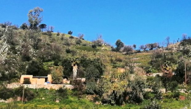 Grundstck zum Ausbauhaus in Agia Kiriaki Epirus Griechenland