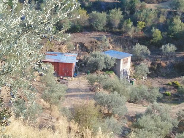 Container und Pumpenhaus des Olivenhains