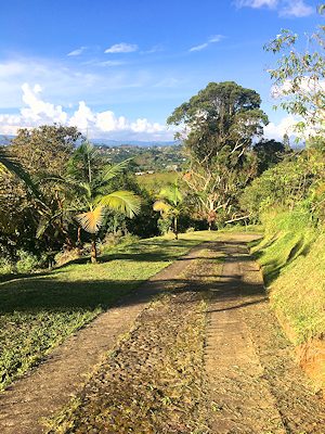 Zufahrt zum G�stehaus