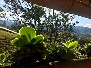 Balkon vom G�stezimmer