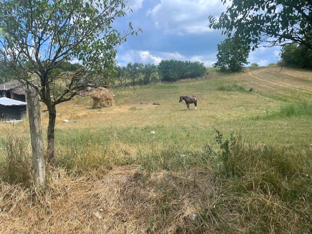 Grundsck des Ausbauhauses
