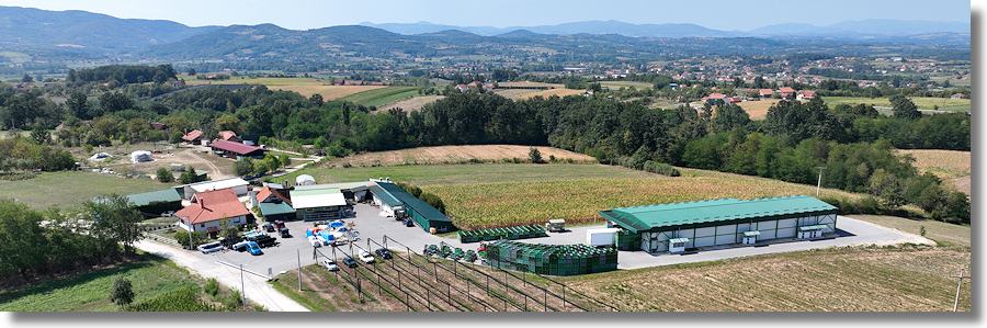 Landwirtschaftsbetrieb Apfelplantagen Blaubeerplantagen zum Kaufen