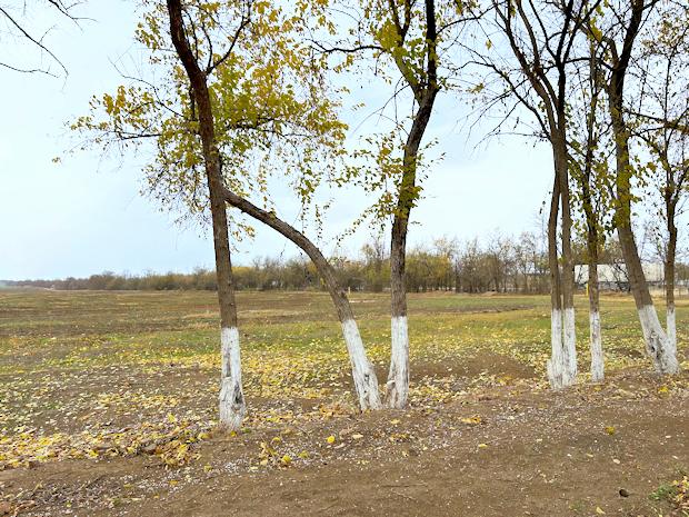 Baugrundstcke fr Einfamilienhuser in Krasnogvardeyskoye Insel Krim