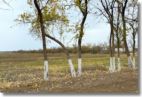 Baugrundstck fr Einfamilienhuser in Krasnogvardeyskoye Krim