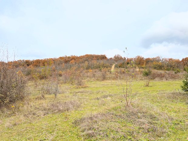 mglicher Campingplatz auf der Krym