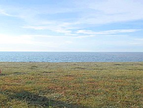 Baugrundstücke am Schwarzen Meer bei Tschornomorske der Krym Baugrundstücke am Schwarzen Meer bei Tschornomorske der Krym