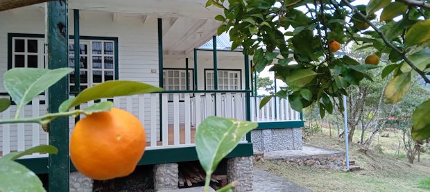 Holzhaus im Urwald von Peru zum Kaufen