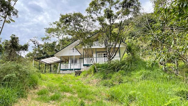 Wohnhaus im peruanischen Urwald zum Kaufen