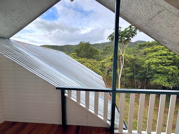 vom Haus Blick in den Urwald