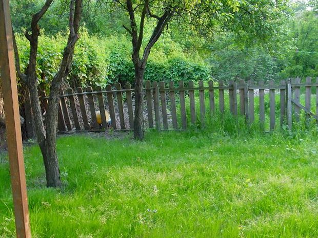 Garten vom Apartment in Timisoara