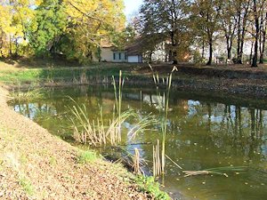 Angelteich der Freizeitanlage fr Angler