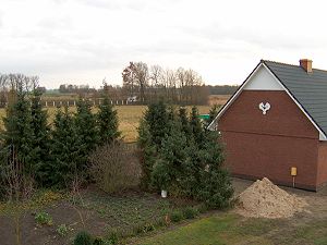 Garten der Villa