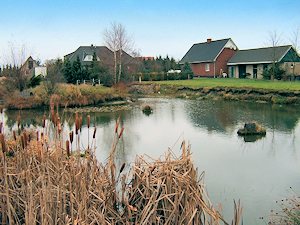 Teich der Villa