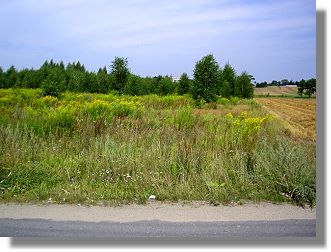 Starowa Gora Lodz Grundstck kaufen in Polen