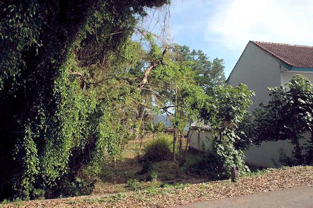 Zufahrt vom Strandgrundst�ck der Insel Bali